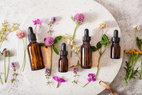 top essential oils for dry skin 480x480