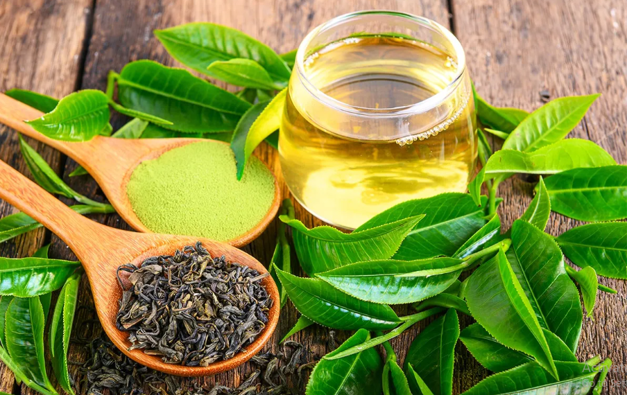 gree tea extract