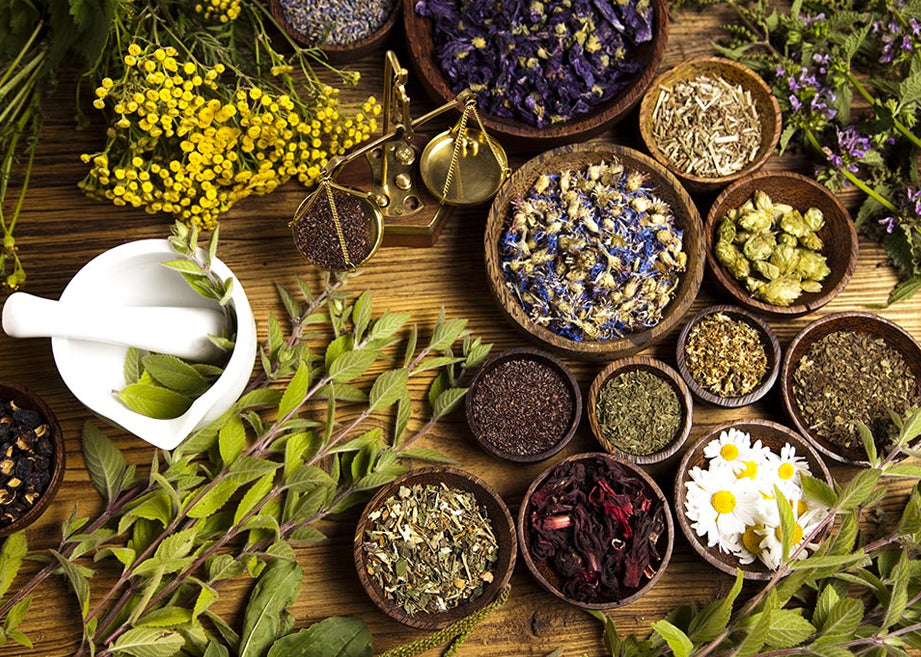why standardized herbal extracts